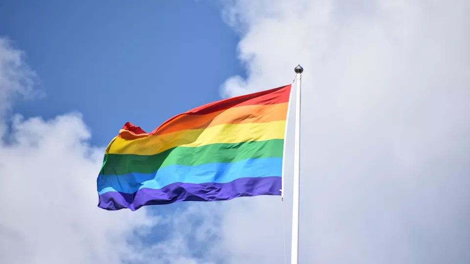 Regnbågsflagga mot himmelsbakgrund. Foto. 